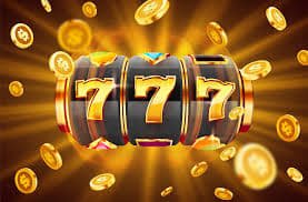 77tiger